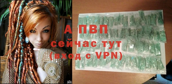 марки lsd Новозыбков