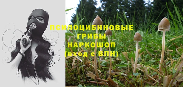 марки lsd Новозыбков