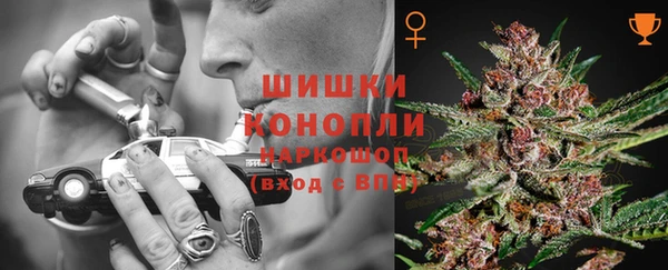 соль ск Новокубанск