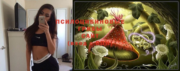 марки nbome Новодвинск