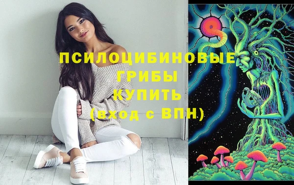 марки lsd Новозыбков